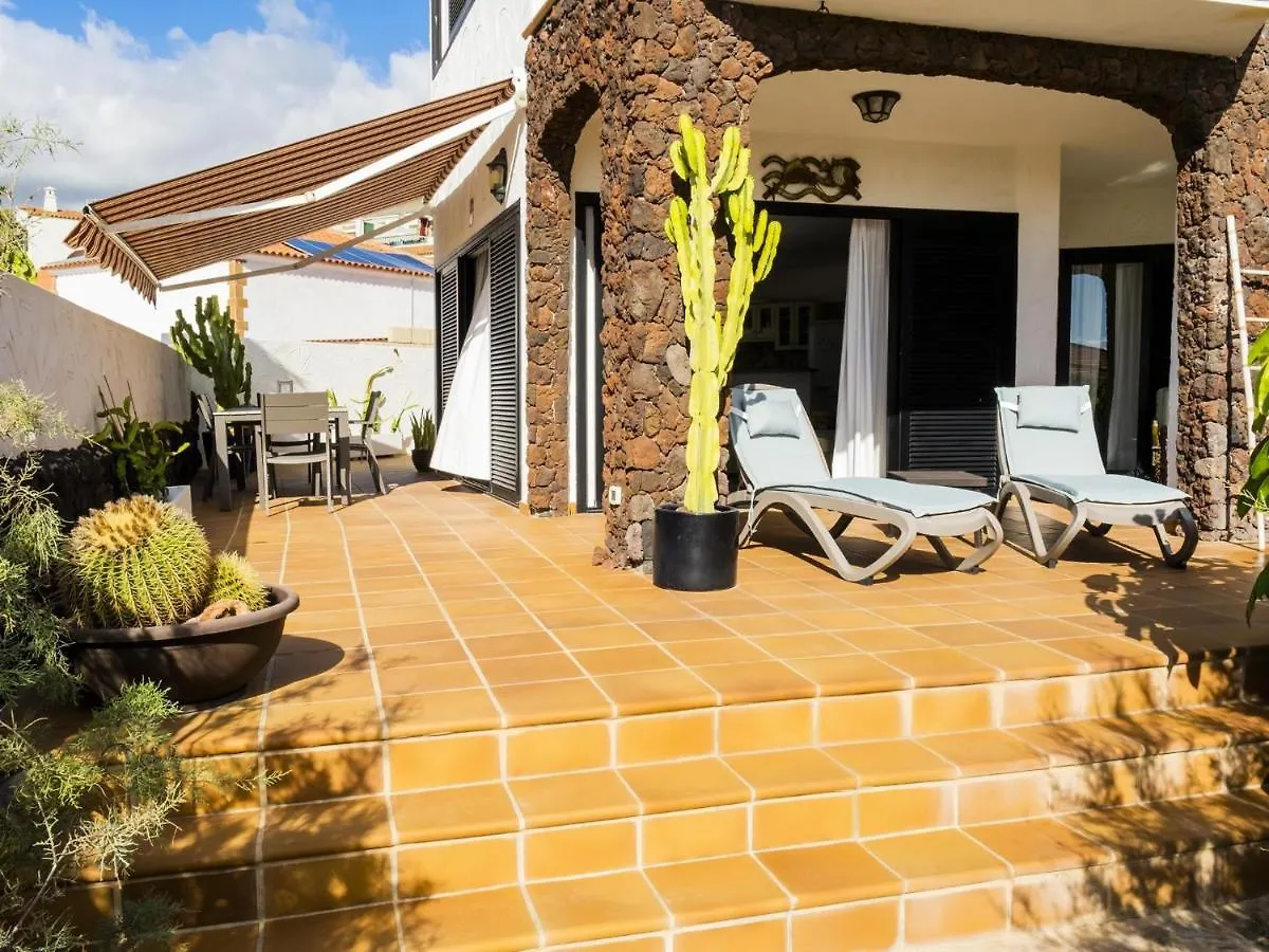 Live Poris Begonia 89 location